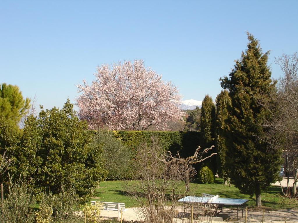 Domaine De La Grange Neuve Hotel La Roque-sur-Pernes Kültér fotó